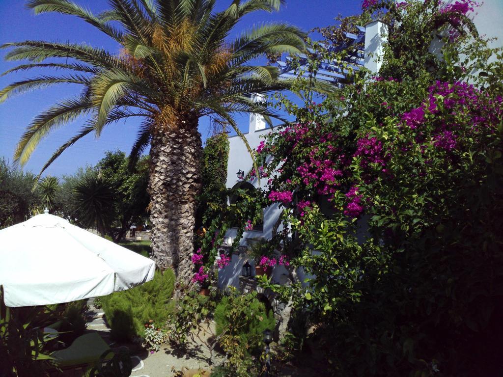 Pension Sofia Parikia  Exterior photo